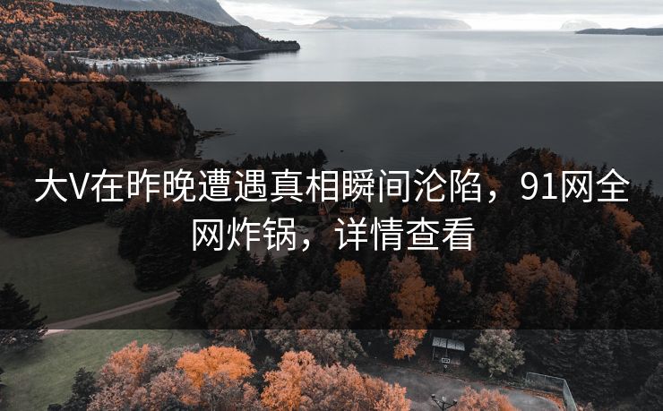 大V在昨晚遭遇真相瞬间沦陷，91网全网炸锅，详情查看